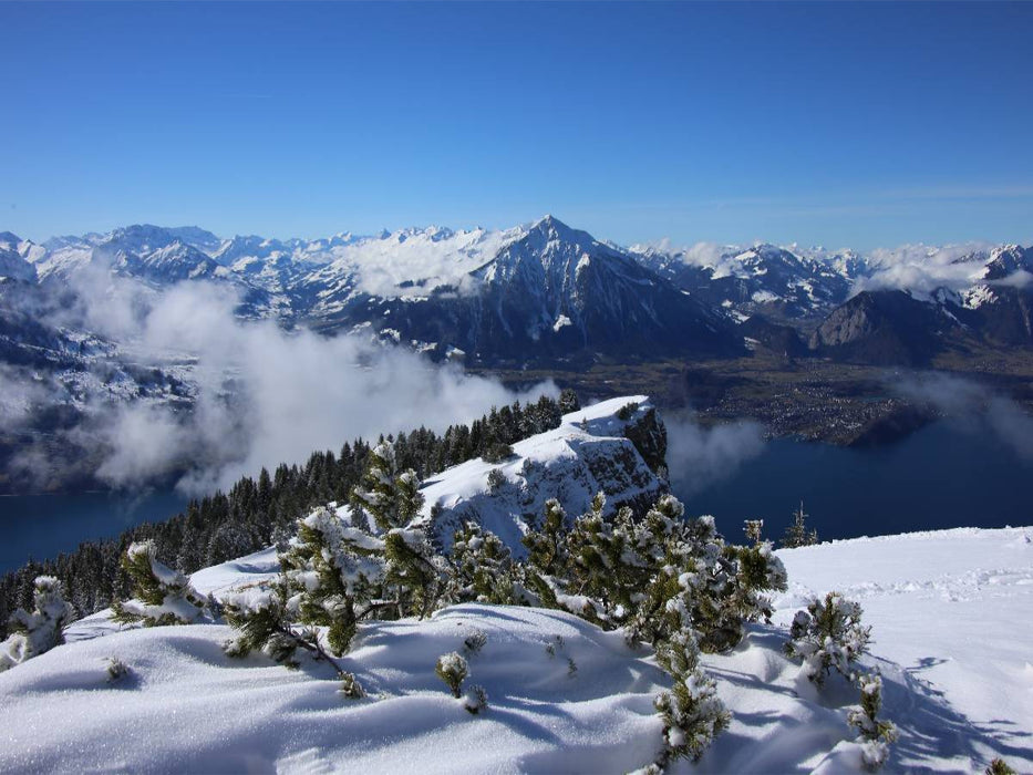 Niederhorn, Berner Oberland, Schweiz - CALVENDO Foto-Puzzle'