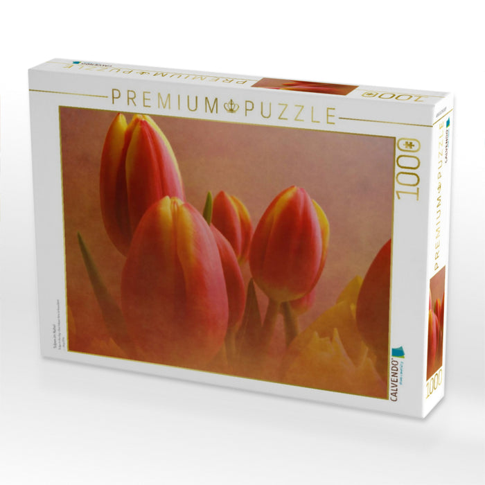 Tulpen im Nebel - CALVENDO Foto-Puzzle'