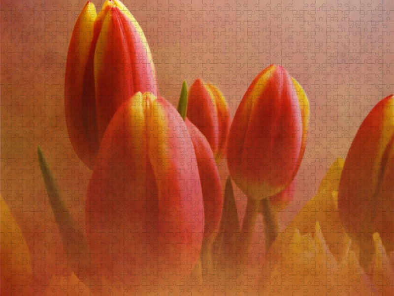 Tulpen im Nebel - CALVENDO Foto-Puzzle'