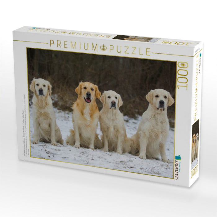 Ein Motiv aus dem Kalender Golden Retriever - Ein Herz auf 4 Pfoten - CALVENDO Foto-Puzzle'