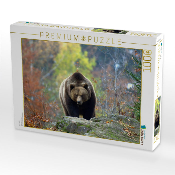 Braunbär - CALVENDO Foto-Puzzle'