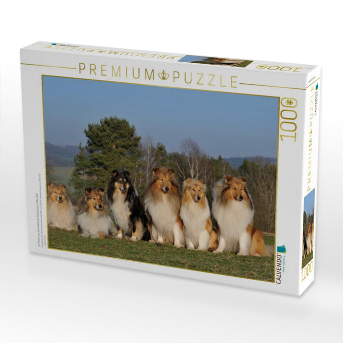 Ein Motiv aus dem Kalender Faszination Collie 2017 - CALVENDO Foto-Puzzle'