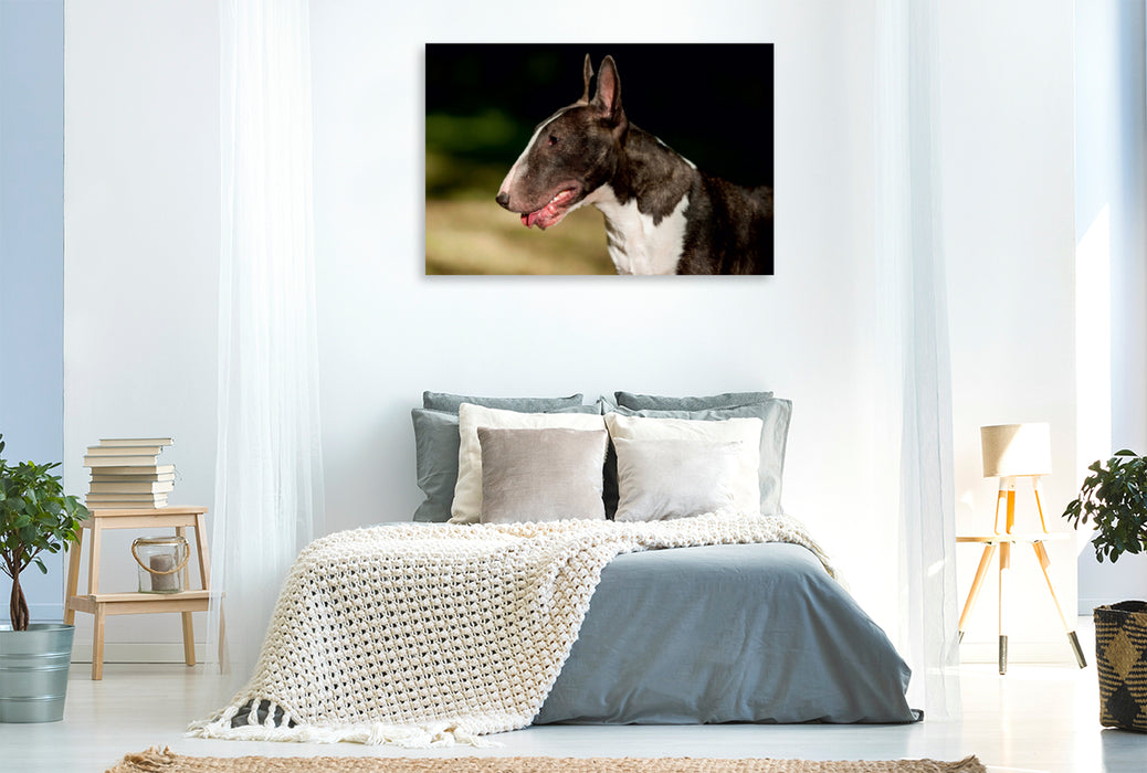 Premium Textil-Leinwand Premium Textil-Leinwand 120 cm x 80 cm quer Ein Motiv aus dem Kalender Bullterrier