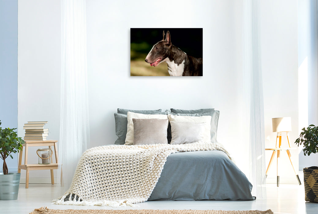 Premium Textil-Leinwand Premium Textil-Leinwand 120 cm x 80 cm quer Ein Motiv aus dem Kalender Bullterrier