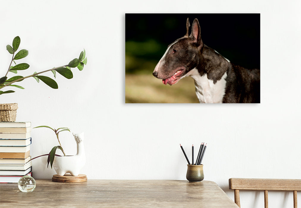 Premium Textil-Leinwand Premium Textil-Leinwand 120 cm x 80 cm quer Ein Motiv aus dem Kalender Bullterrier