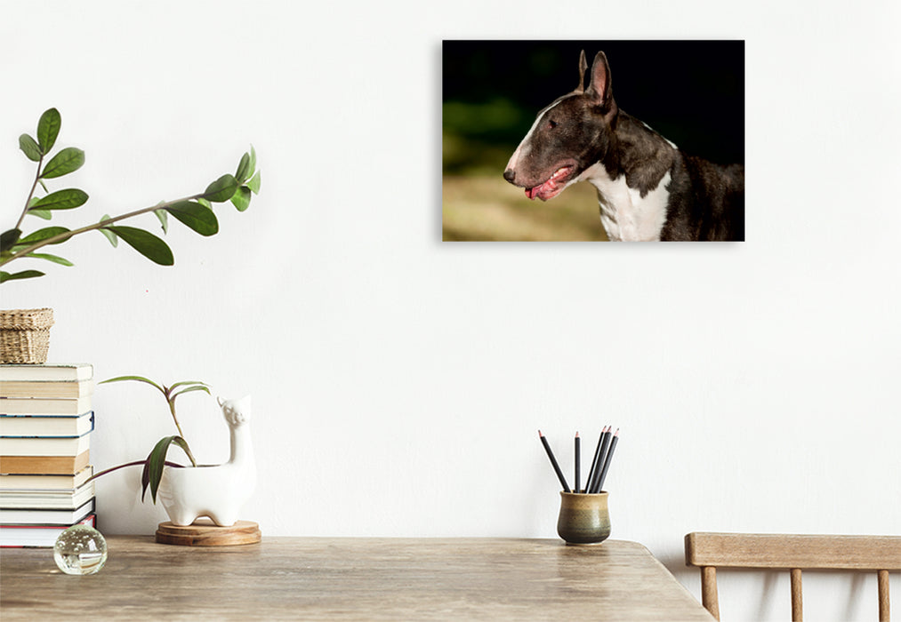 Premium Textil-Leinwand Premium Textil-Leinwand 120 cm x 80 cm quer Ein Motiv aus dem Kalender Bullterrier