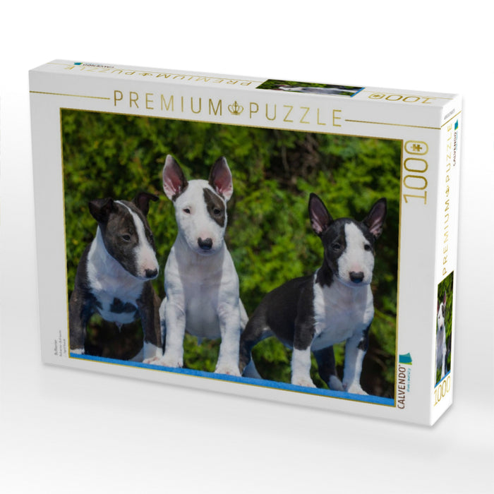 Bullterrier - CALVENDO Foto-Puzzle'