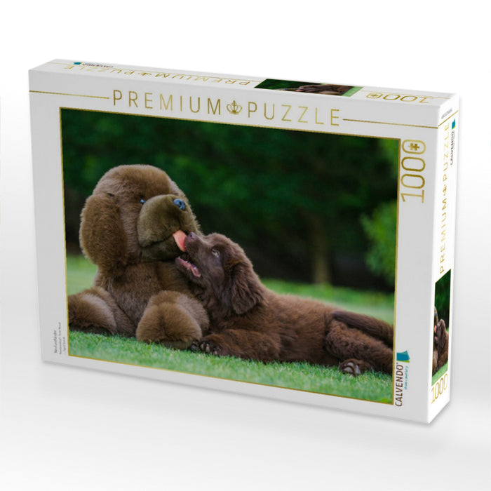 Neufundländer - CALVENDO Foto-Puzzle'