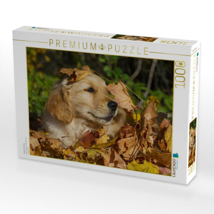 Golden Retriever - CALVENDO Foto-Puzzle'