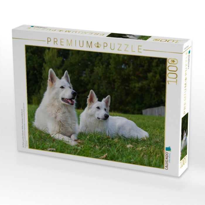Ein Motiv aus dem Kalender Weißer Schweizer Schäferhund - CALVENDO Foto-Puzzle'