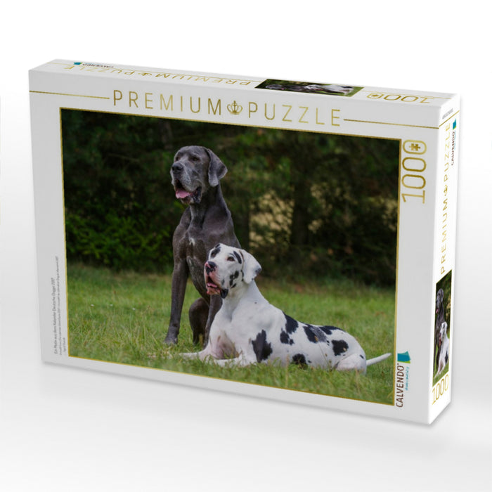 Ein Motiv aus dem Kalender Deutsche Dogge 2017 - CALVENDO Foto-Puzzle'