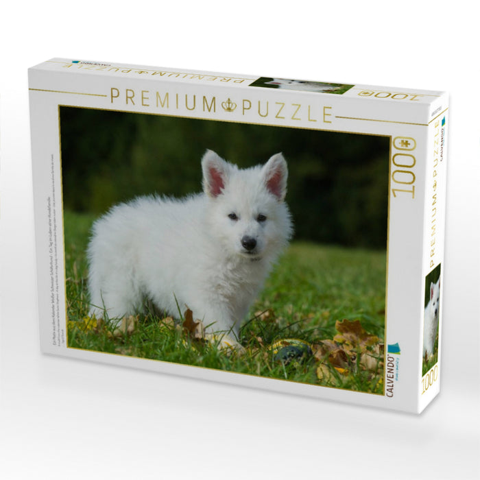 Ein Motiv aus dem Kalender Weißer Schweizer Schäferhund - Ein Tag im Leben einer Hundefamilie - CALVENDO Foto-Puzzle'