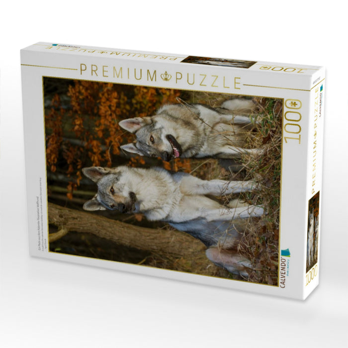 Ein Motiv aus dem Kalender Faszination Wolfhund - CALVENDO Foto-Puzzle'