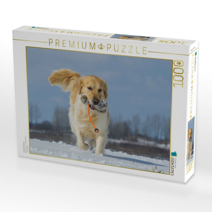 Golden Retriever - CALVENDO Foto-Puzzle'
