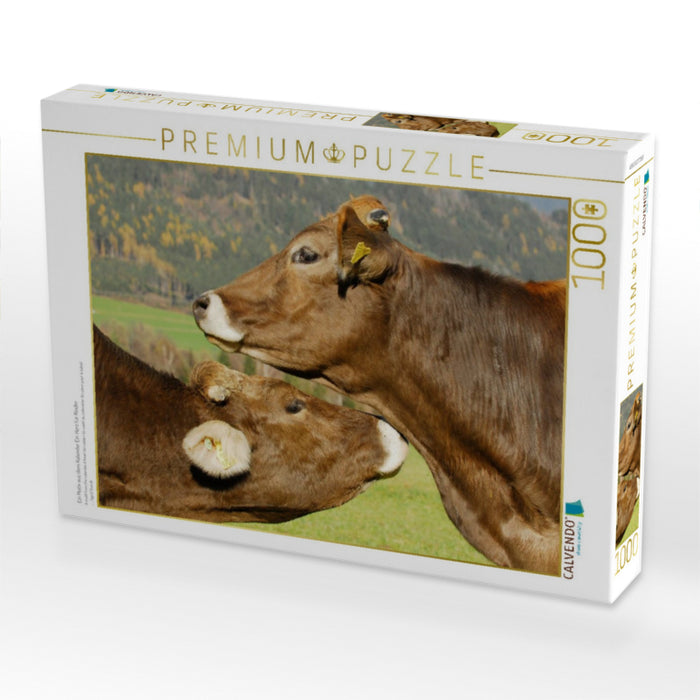 Ein Motiv aus dem Kalender Ein Herz für Rinder - CALVENDO Foto-Puzzle'