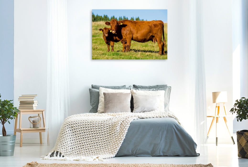Premium Textil-Leinwand Premium Textil-Leinwand 120 cm x 80 cm quer Ein Motiv aus dem Kalender Ein Herz für Rinder