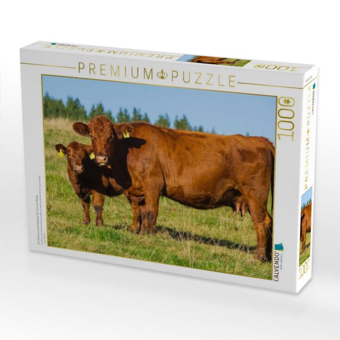 Ein Motiv aus dem Kalender Ein Herz für Rinder - CALVENDO Foto-Puzzle'