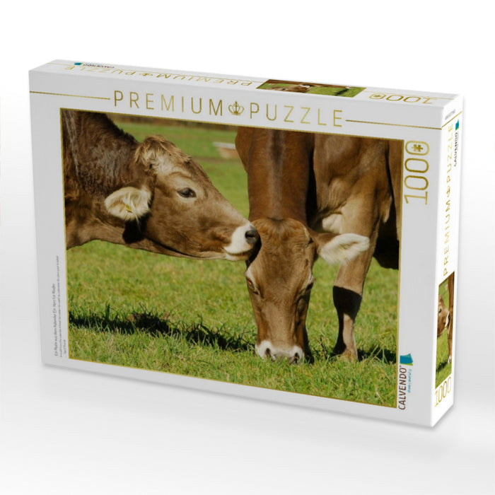 Ein Motiv aus dem Kalender Ein Herz für Rinder - CALVENDO Foto-Puzzle'