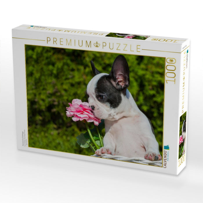 Französische Bulldogge - CALVENDO Foto-Puzzle'