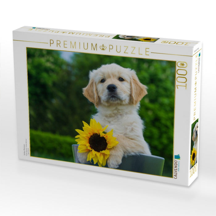 Golden Retriever - CALVENDO Foto-Puzzle'