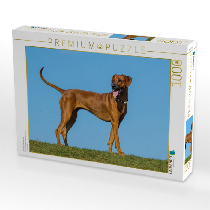 Rhodesian Ridgeback - CALVENDO Foto-Puzzle'