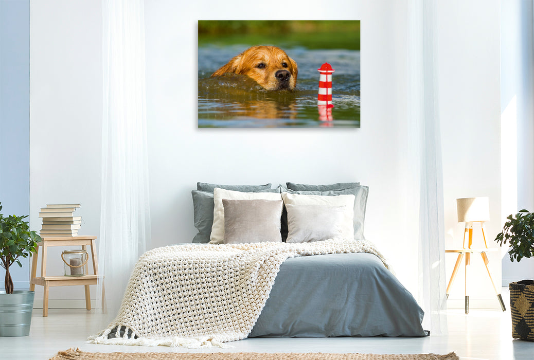 Premium Textil-Leinwand Premium Textil-Leinwand 120 cm x 80 cm quer Ein Motiv aus dem Kalender Das Glück hat einen Namen - Golden Retriever