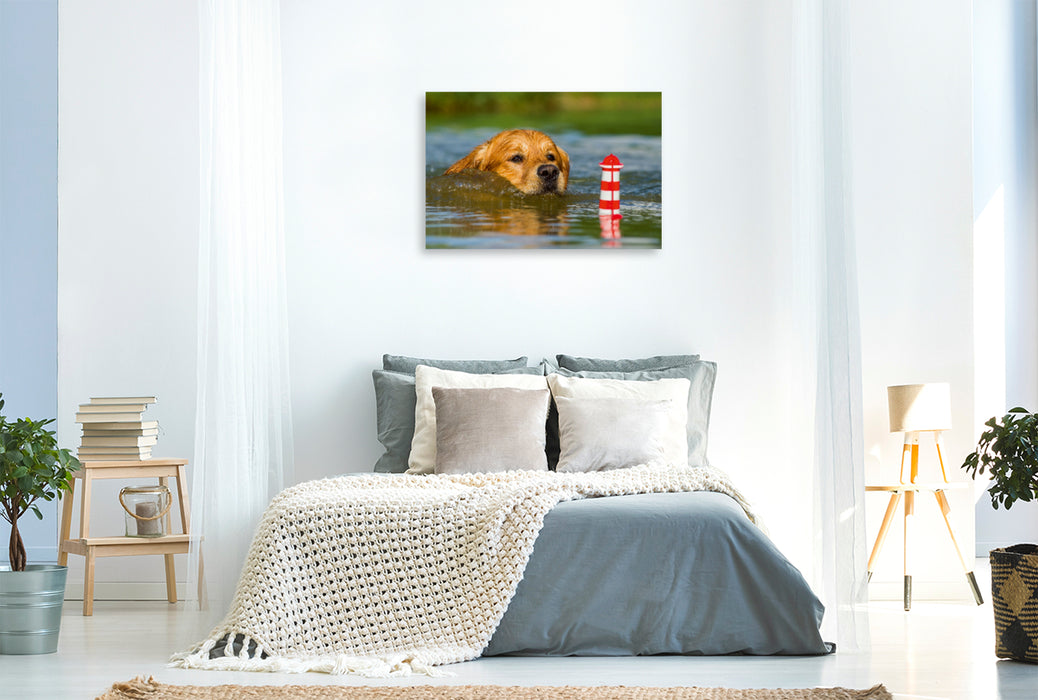 Premium Textil-Leinwand Premium Textil-Leinwand 120 cm x 80 cm quer Ein Motiv aus dem Kalender Das Glück hat einen Namen - Golden Retriever