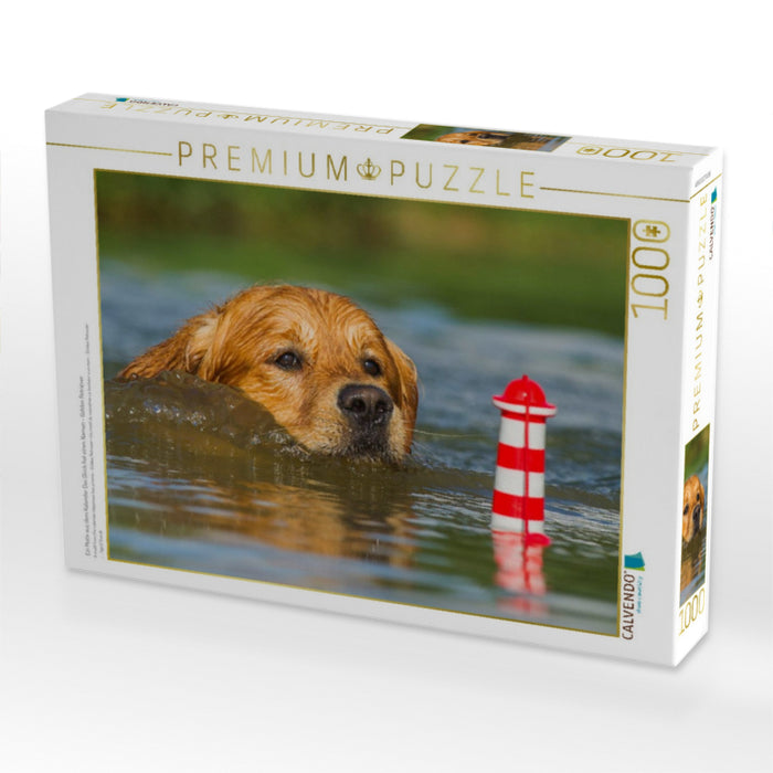 Ein Motiv aus dem Kalender Das Glück hat einen Namen - Golden Retriever - CALVENDO Foto-Puzzle'