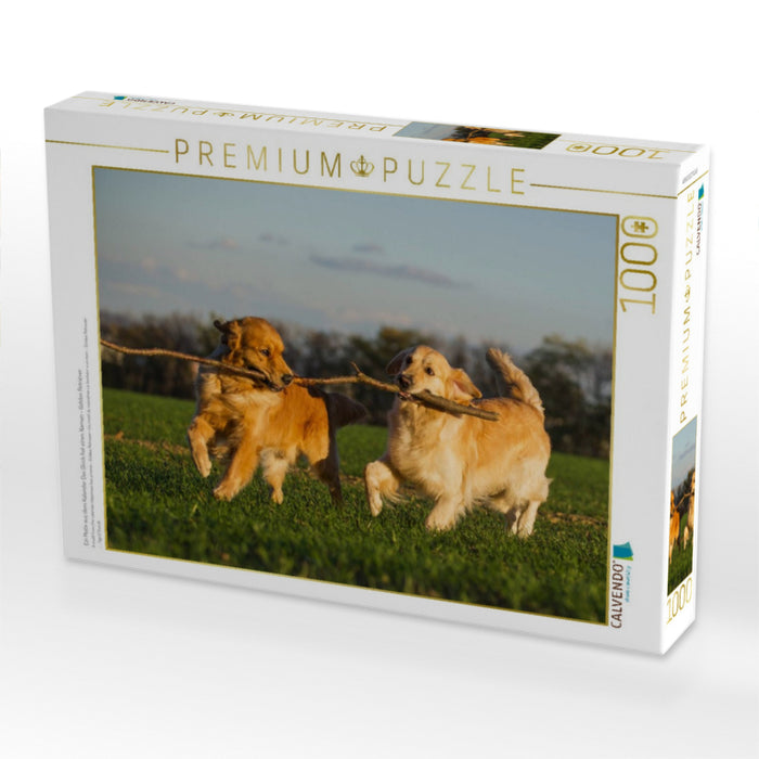 Ein Motiv aus dem Kalender Das Glück hat einen Namen - Golden Retriever - CALVENDO Foto-Puzzle'