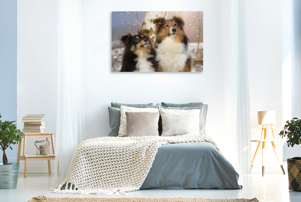 Premium Textil-Leinwand Premium Textil-Leinwand 120 cm x 80 cm quer Ein Motiv aus dem Kalender Wir lieben Shelties