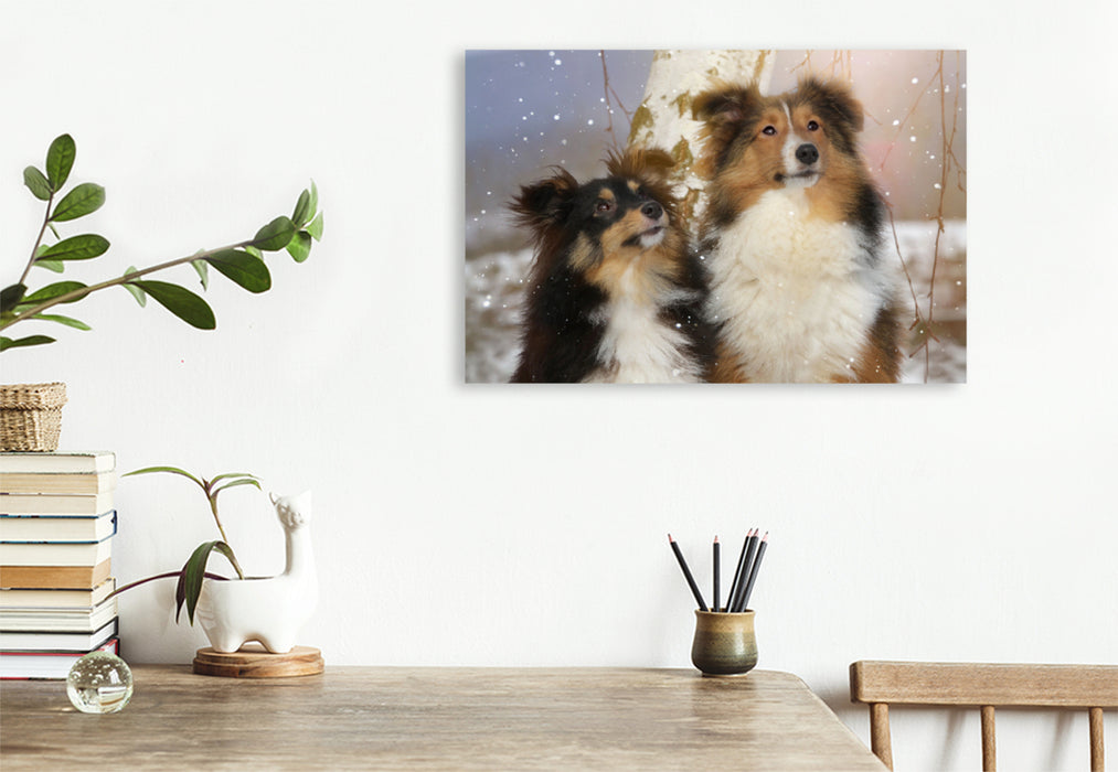 Premium Textil-Leinwand Premium Textil-Leinwand 120 cm x 80 cm quer Ein Motiv aus dem Kalender Wir lieben Shelties