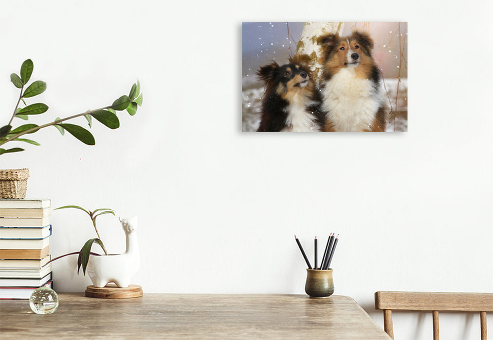 Premium Textil-Leinwand Premium Textil-Leinwand 120 cm x 80 cm quer Ein Motiv aus dem Kalender Wir lieben Shelties