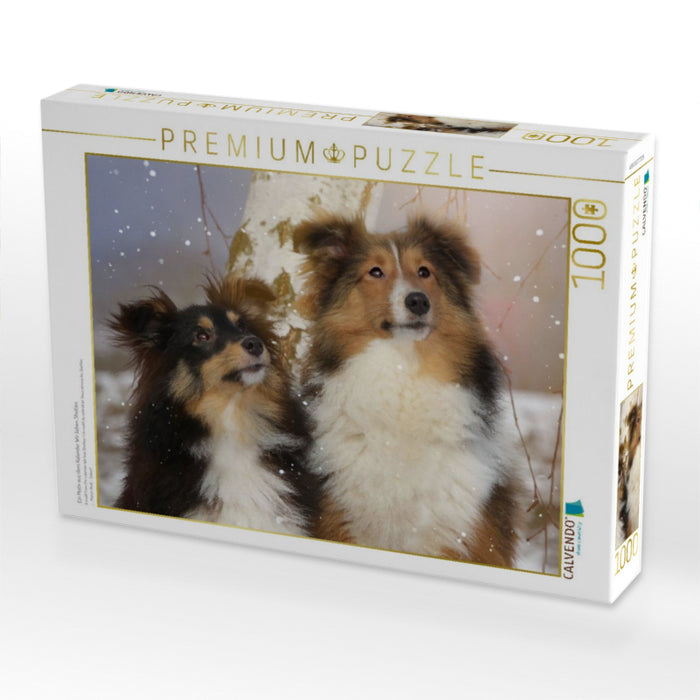 Ein Motiv aus dem Kalender Wir lieben Shelties - CALVENDO Foto-Puzzle'