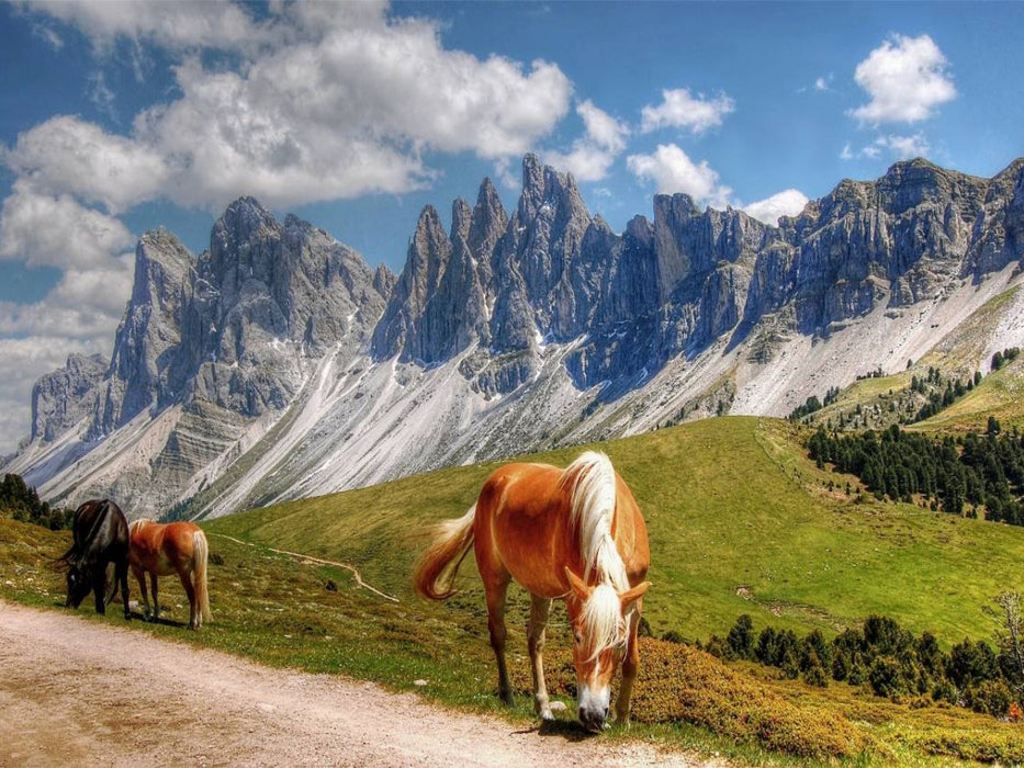 Geisler Gruppe - Raschötzalpe - Gröden Dolomiten - CALVENDO Foto-Puzzle'