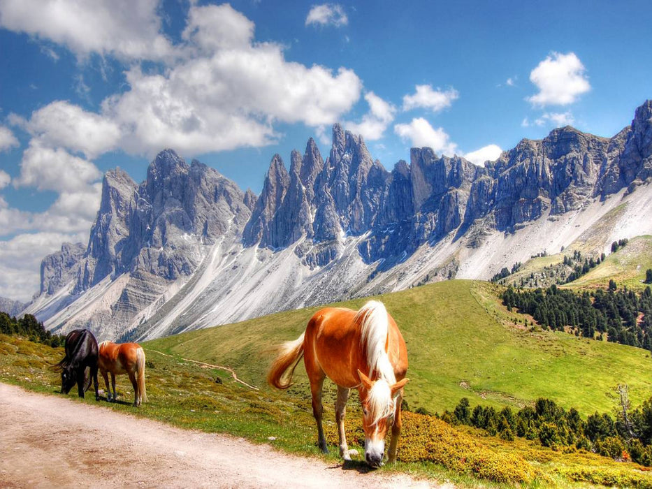 Geisler Spitzen Nordwände von der Raschötzalpe - Gröden - CALVENDO Foto-Puzzle'