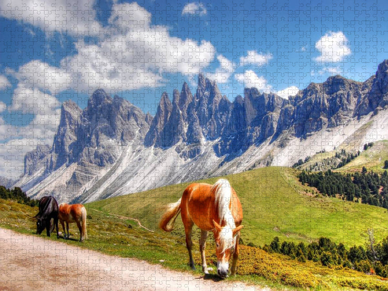 Geisler Spitzen Nordwände von der Raschötzalpe - Gröden - CALVENDO Foto-Puzzle'