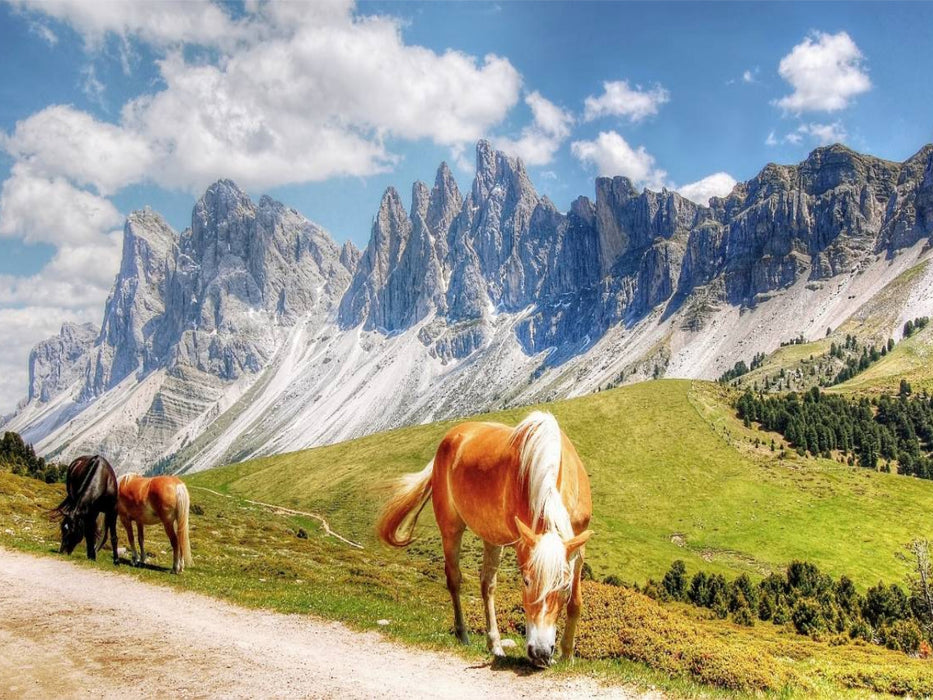 Geisler Spitzen - Sas Rigais und Furchetta - Nordwände - Villnößtal - 3025 Hm - CALVENDO Foto-Puzzle'