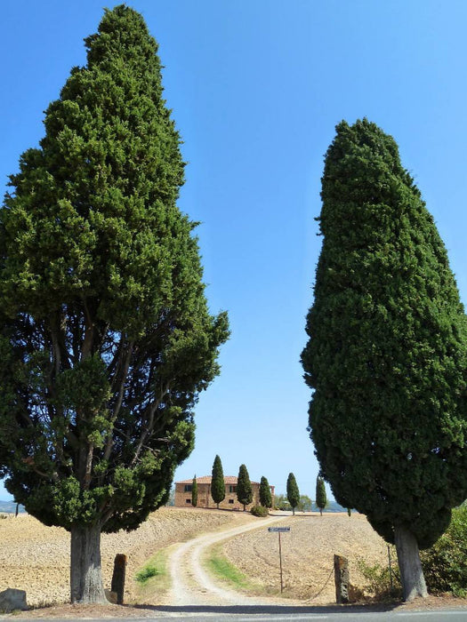 Toskanisches Haus I Cipressini - CALVENDO Foto-Puzzle'