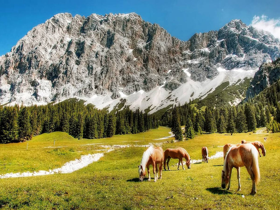 Zugspitze - Tirol - Ehrwald - Österreich - CALVENDO Foto-Puzzle'
