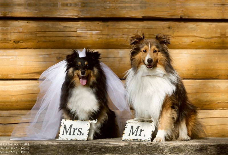 Premium Textil-Leinwand Just married