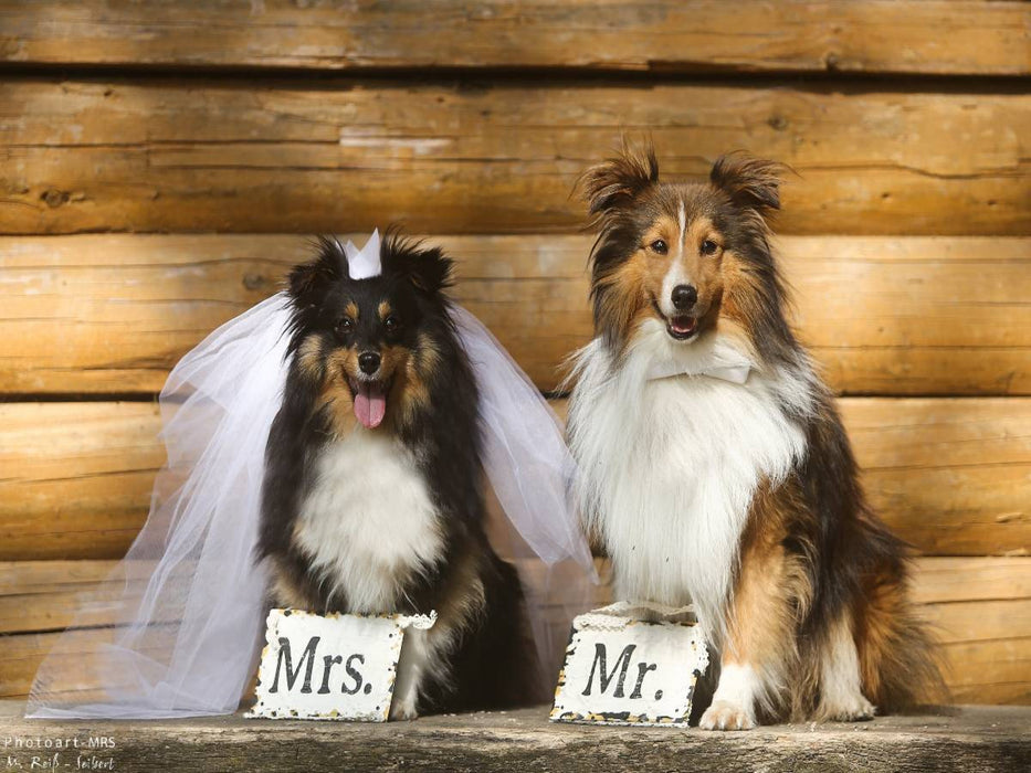 Just married - CALVENDO Foto-Puzzle'