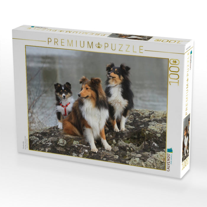 Flusshunde - CALVENDO Foto-Puzzle'