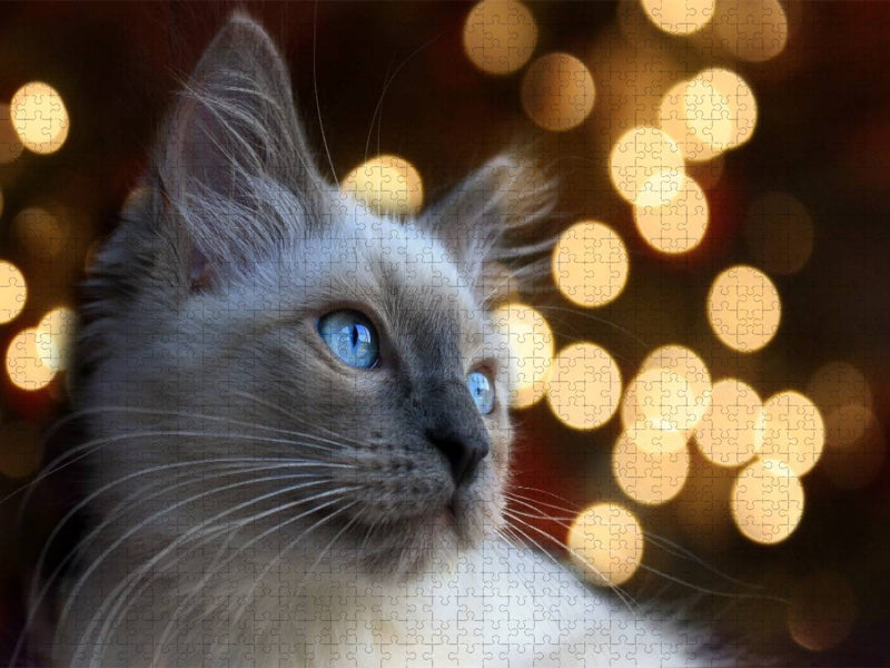 Lichtspiele - CALVENDO Foto-Puzzle'