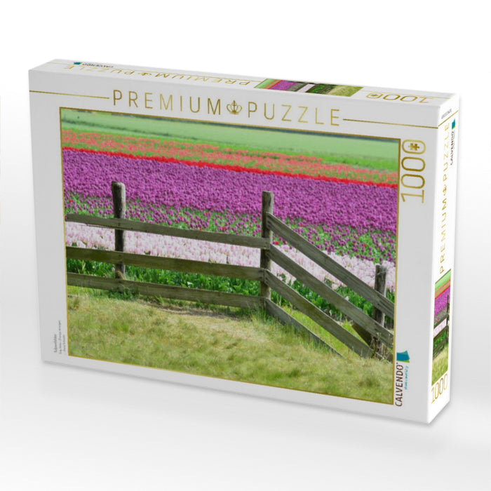 Tulpenfelder - CALVENDO Foto-Puzzle'