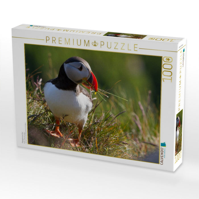 Papageientaucher - CALVENDO Foto-Puzzle'