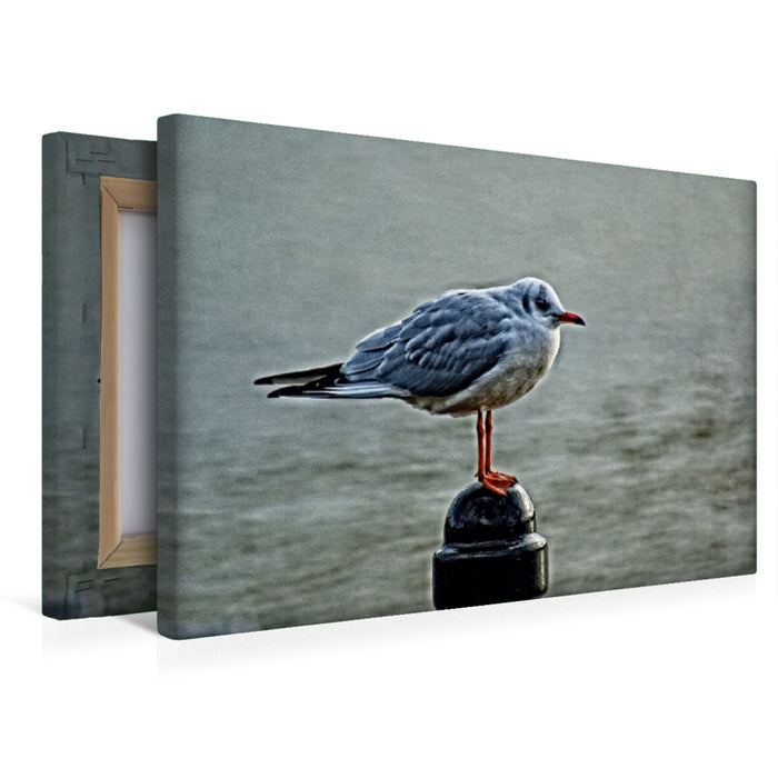 Premium Textil-Leinwand Ostfriesland Impressionen