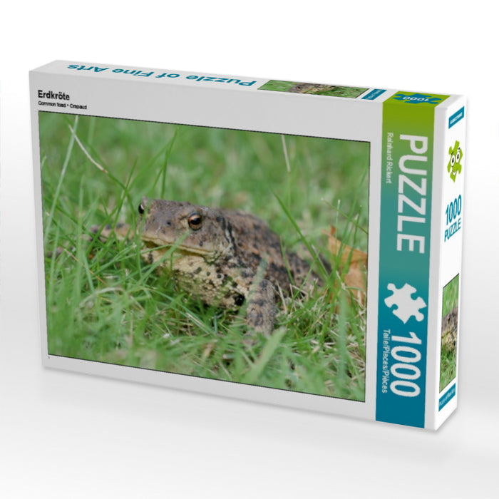 Common toad - CALVENDO photo puzzle 