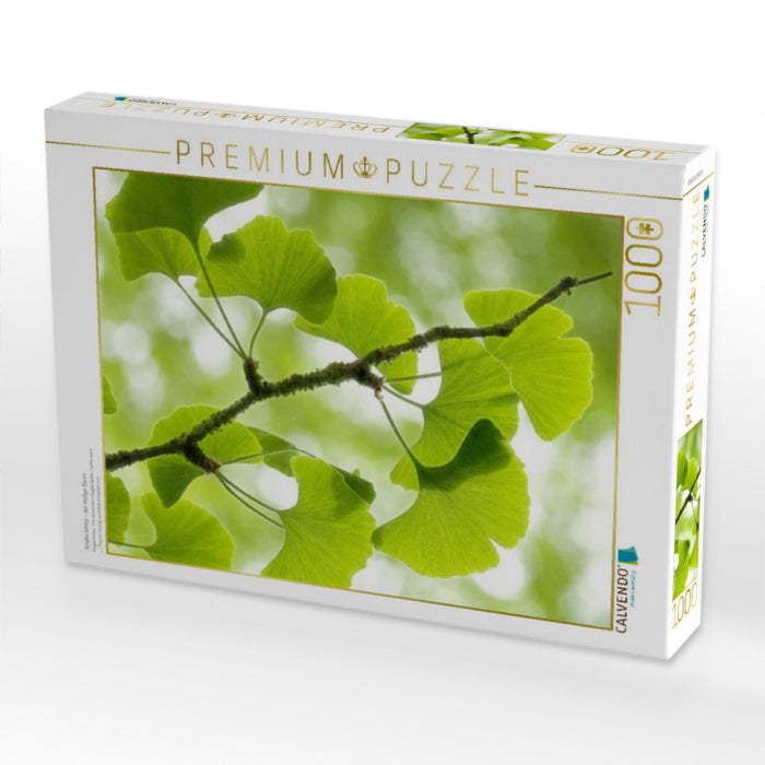 Gingko biloba - der Heilige Baum - CALVENDO Foto-Puzzle'