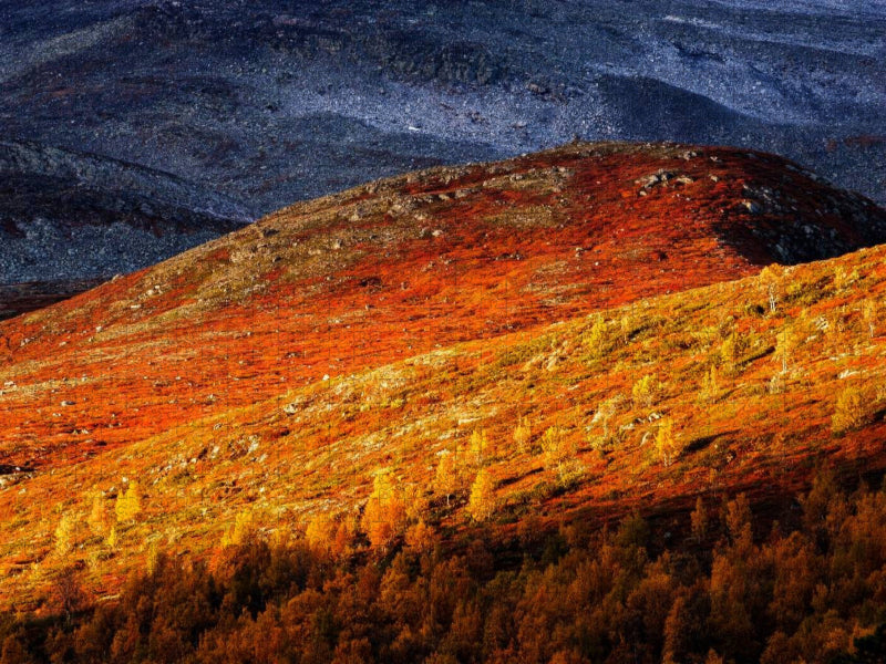 Indian Summer in Gasbu, Norwegen - CALVENDO Foto-Puzzle'