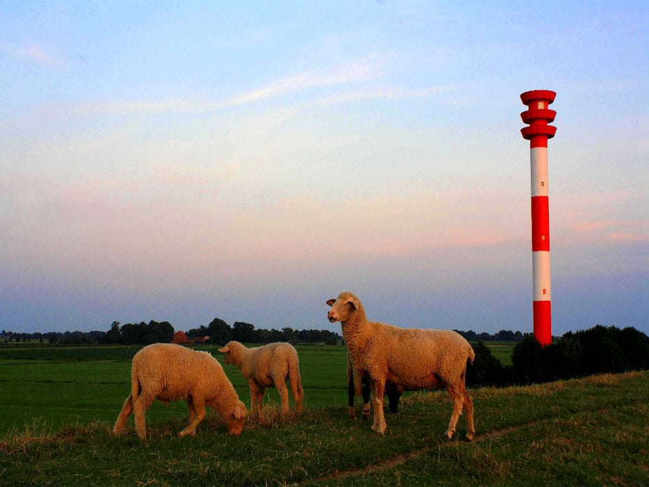Schafe am Leuchtturm - CALVENDO Foto-Puzzle'